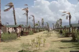 Allée arborée avec des bancs, palmiers penchés sous le vent et ciel nuageux.