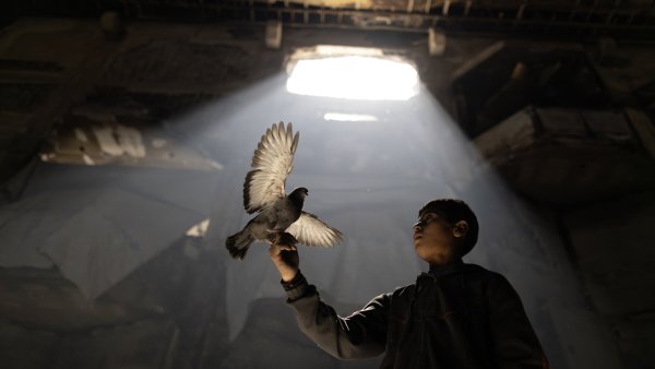 Un garçon tient un pigeon sous un rayon de lumière dans un lieu sombre.
