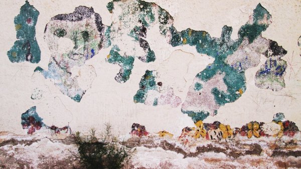 L'image montre un mur dont la peinture est écaillée, révélant des couches de couleur dégradées. Il y a des taches de vert, de bleu et d'autres teintes qui créent un aspect artistique et abstrait. Certaines parties du mur sont presque complètement dépouillées de peinture, laissant apparaître le crépi ou le béton en dessous. En bas, on voit une plante qui pousse, ajoutant une touche de vie à ce décor usé et texturé. L'ensemble évoque une atmosphère nostalgique et peut-être un sentiment d'abandon.
